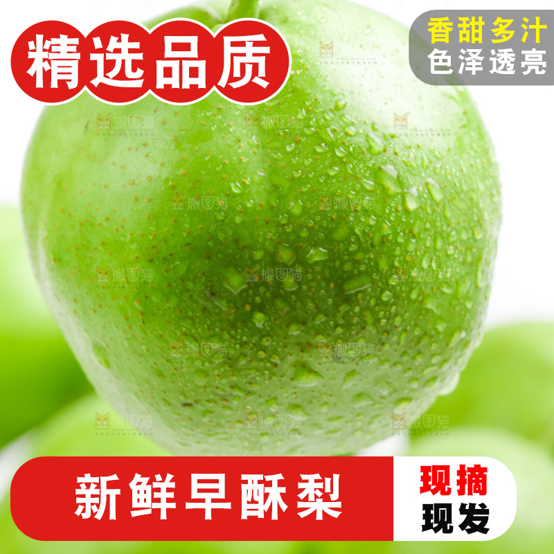 手拿陕西早酥梨
