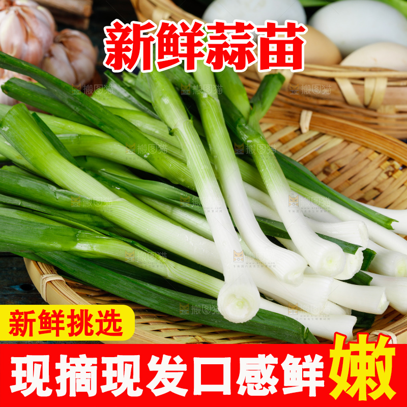 深底上的蒜苗