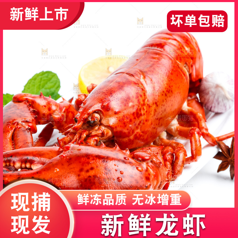 浅底上放着波士顿大龙虾
