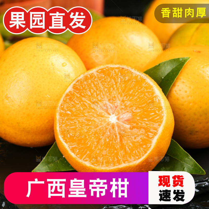 黑底上一堆新鲜的广西皇帝柑