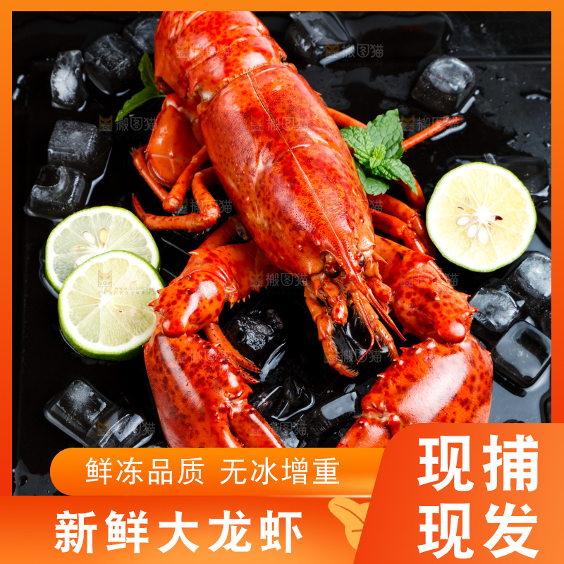 盘子里装着澳洲大龙虾