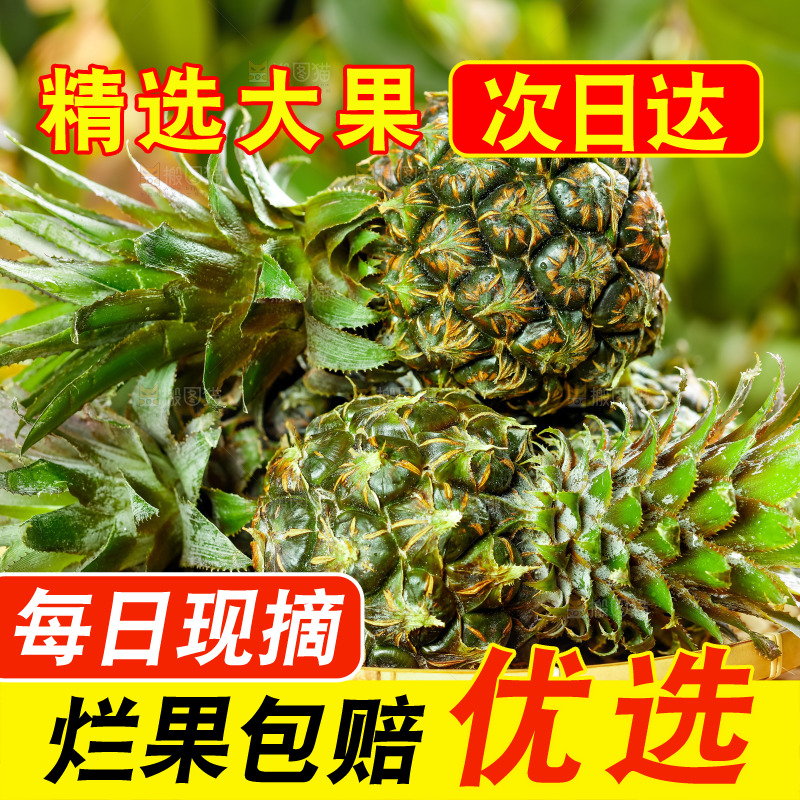 篮子里的新鲜小菠萝