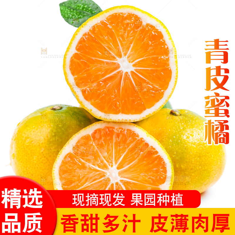 新鲜的青皮蜜橘放在白底上