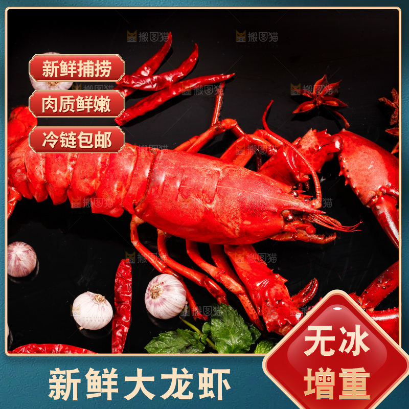 黑底上放着澳洲大龙虾