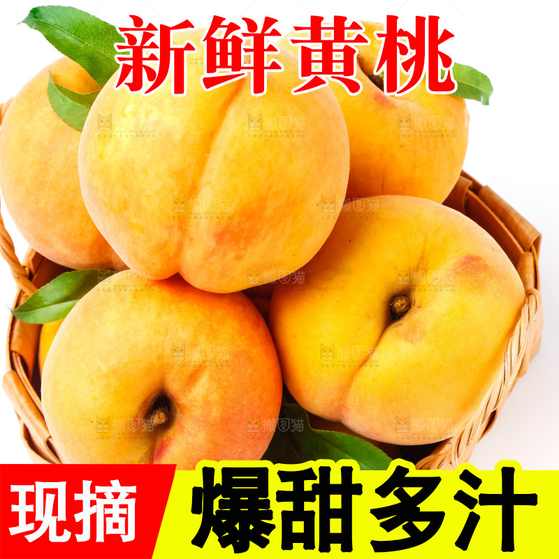 一筐新鲜黄桃放在白底上