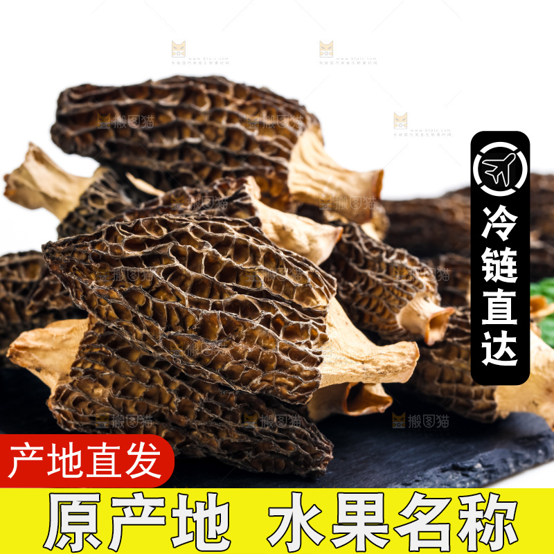 干羊肚菌放在黑石板上