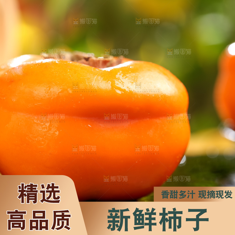 黑石板上放着易县磨盘柿