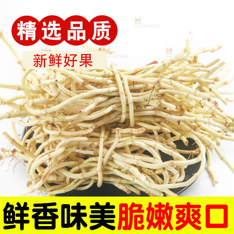 白底上的鱼腥草