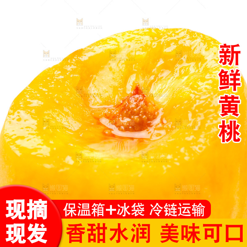 浅底上的山东黄桃