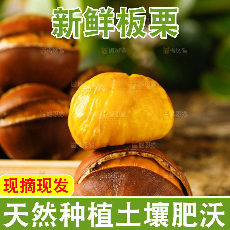 深底上放着生板栗