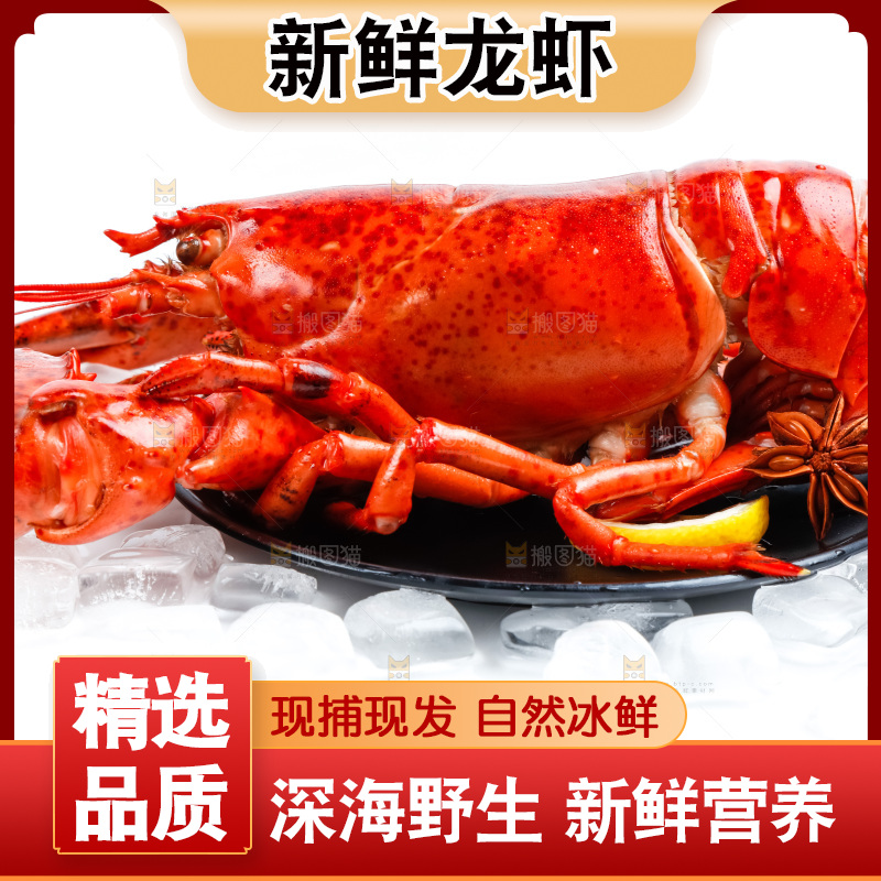 浅底上放着波士顿大龙虾