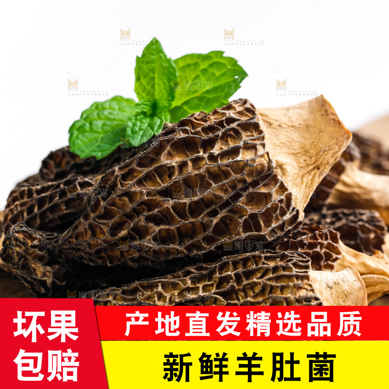 干羊肚菌放在木底上