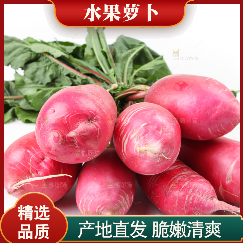 白底上的红萝卜