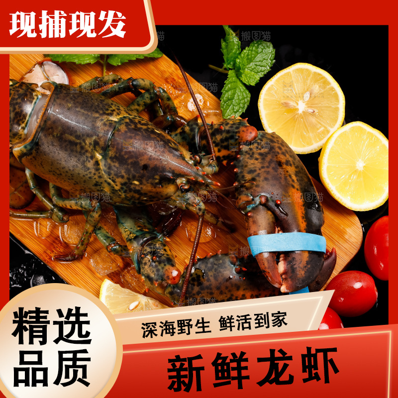 黑底上放着波士顿龙虾