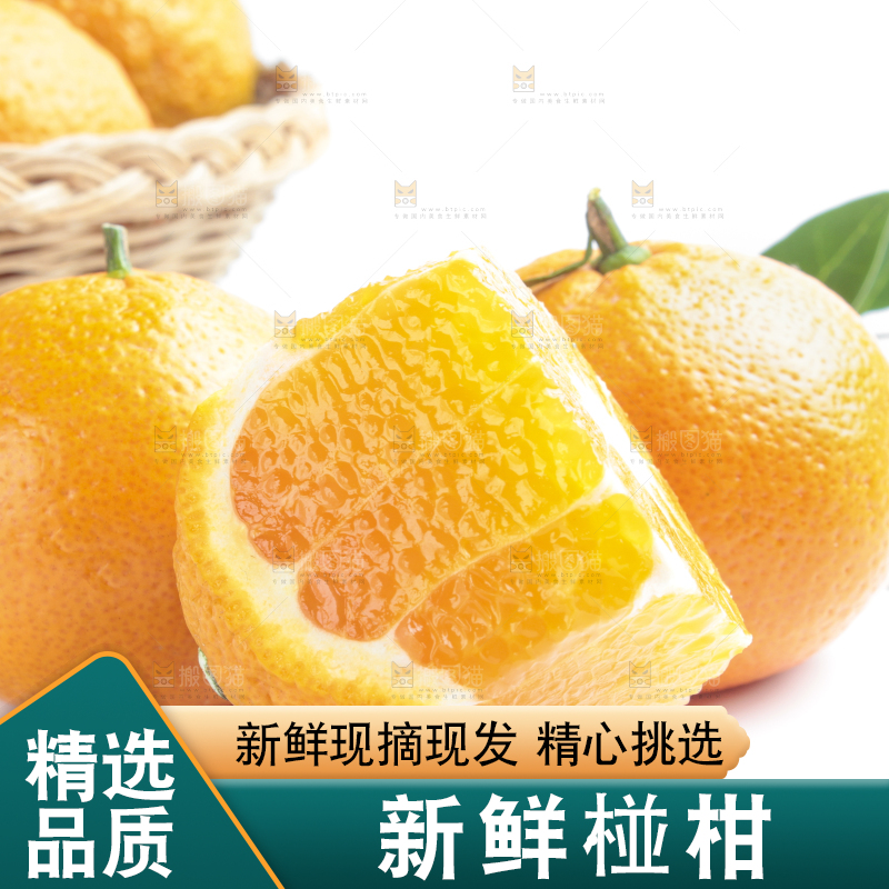 白底上放着四川椪柑
