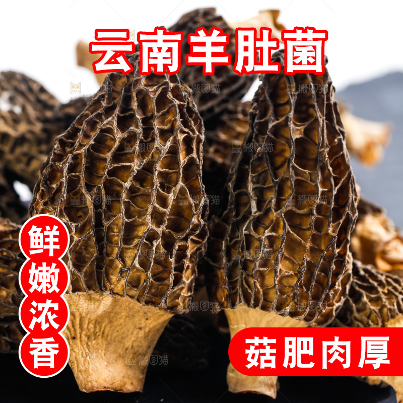 干羊肚菌放在黑石板上