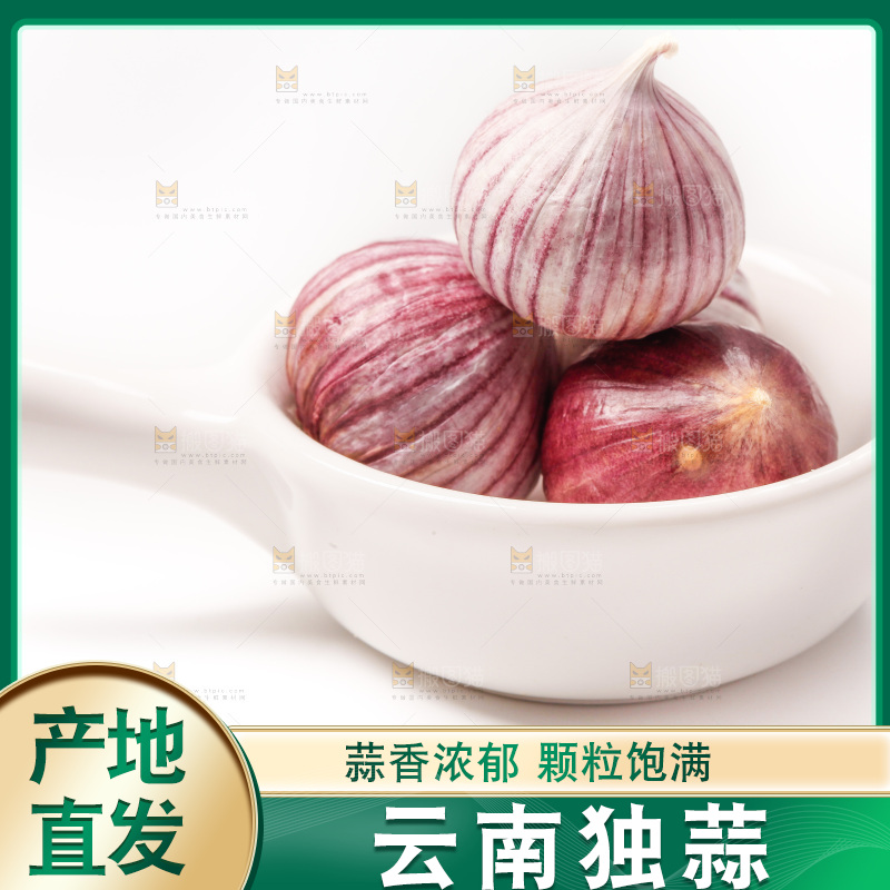 浅底上的独蒜