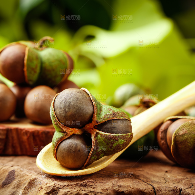 深底上的茶树果