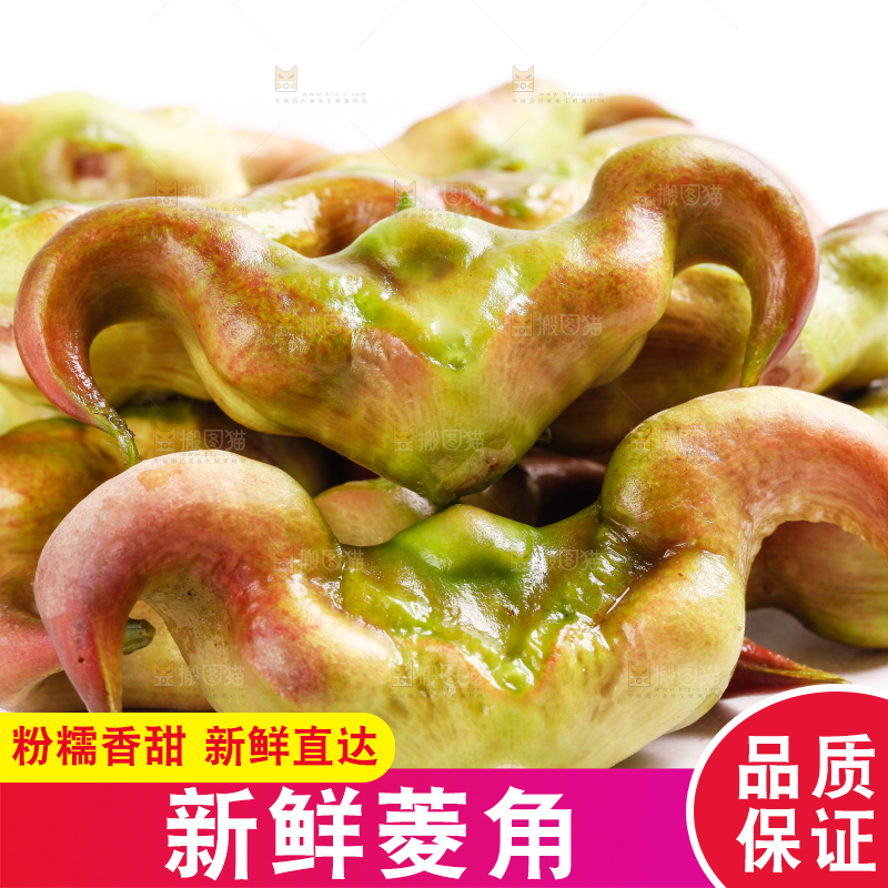 浅底上放着洪湖菱角