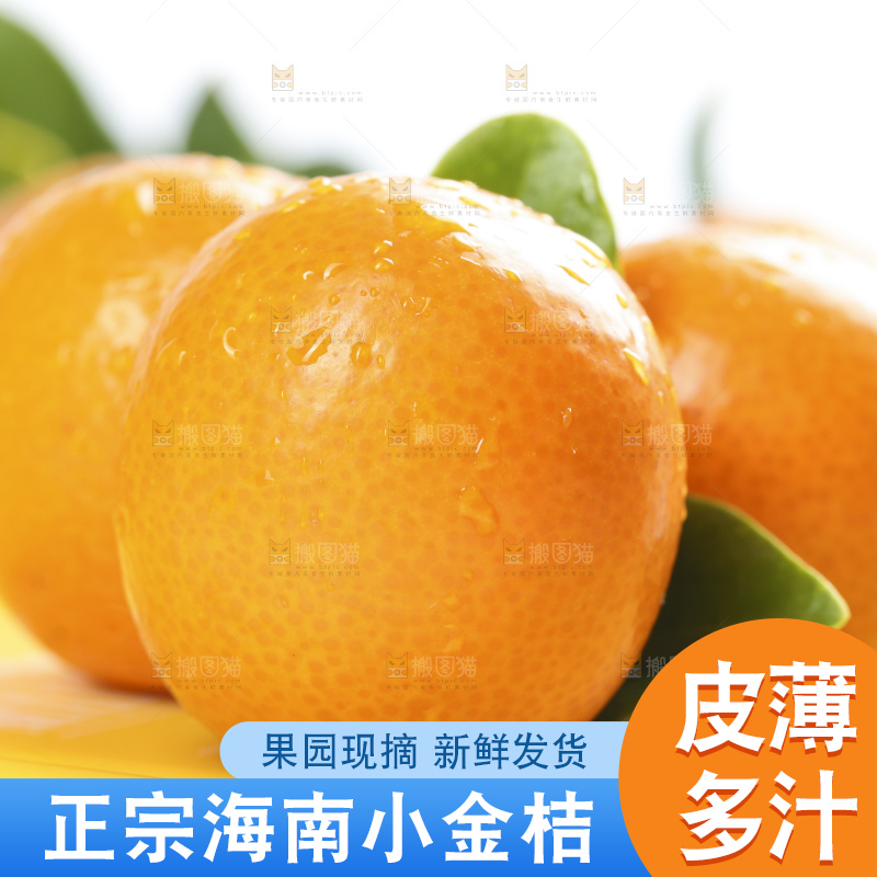 浅底上摆放着金桔