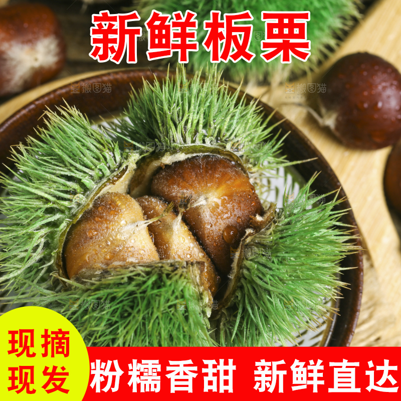 深底上放着迁西板栗