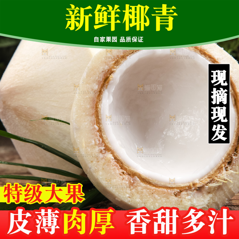 木底上放着泰国椰子