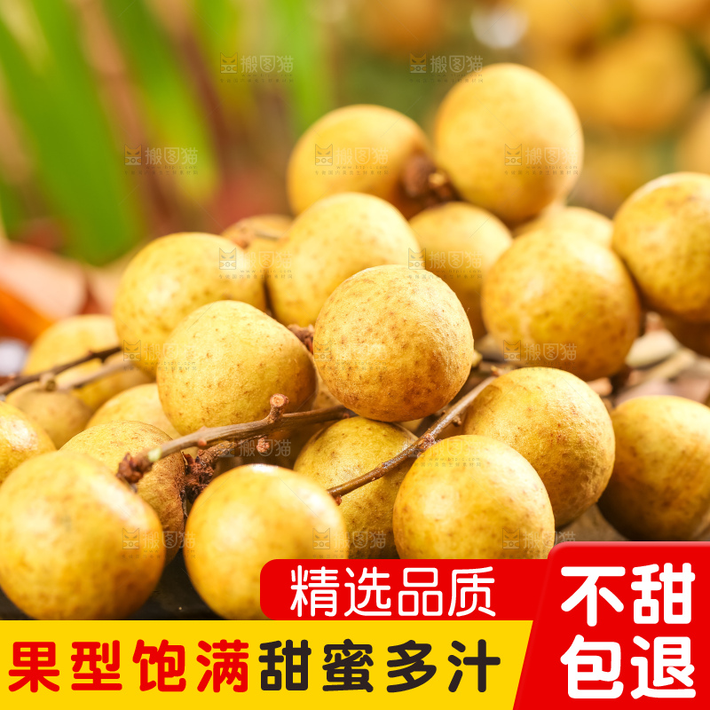黑石板上摆放着泰国龙眼