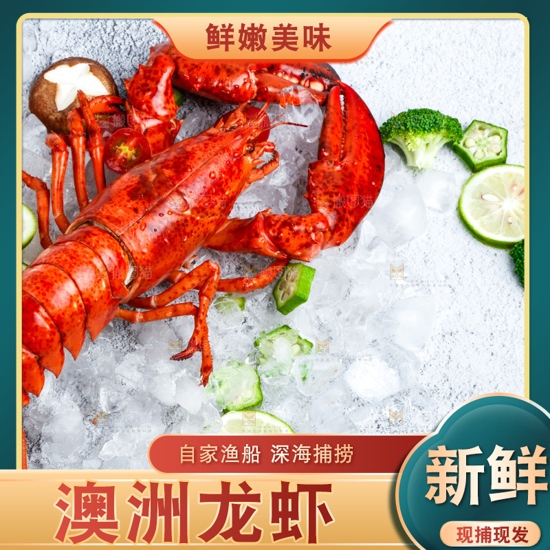 石板上的波士顿大龙虾
