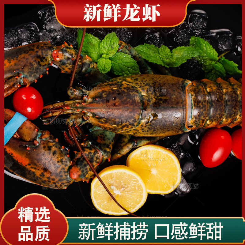 黑底上放着波士顿龙虾