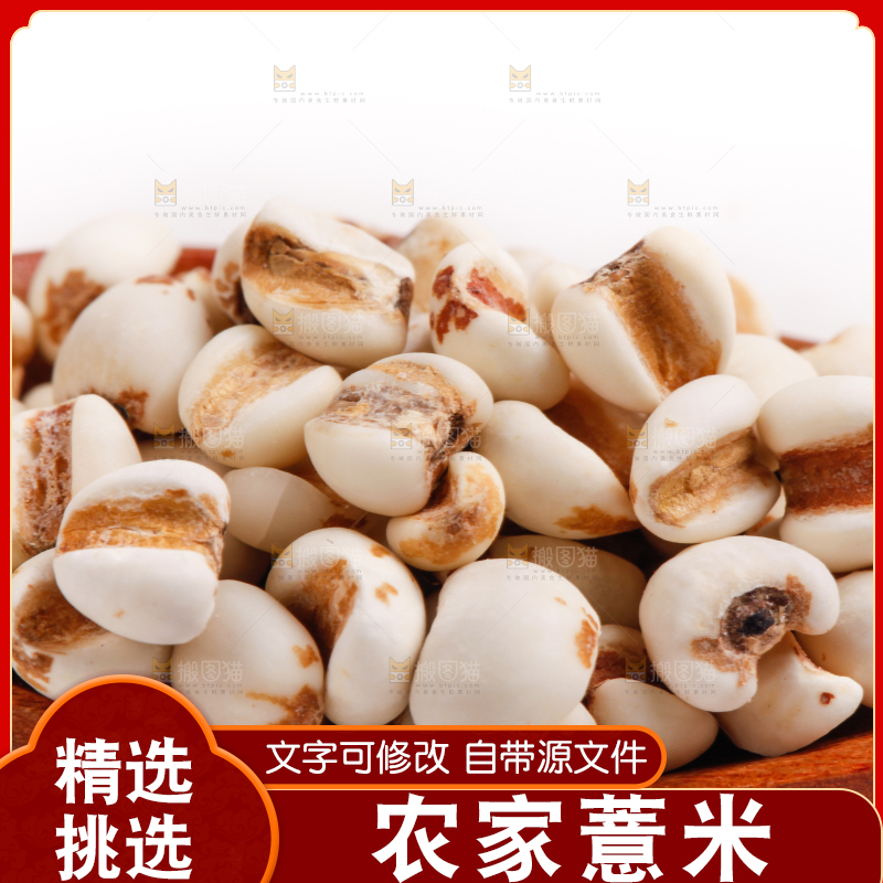 勺子里装着薏米