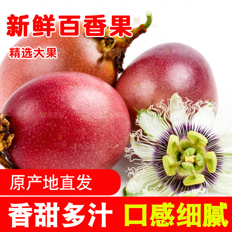 白底上的百香果