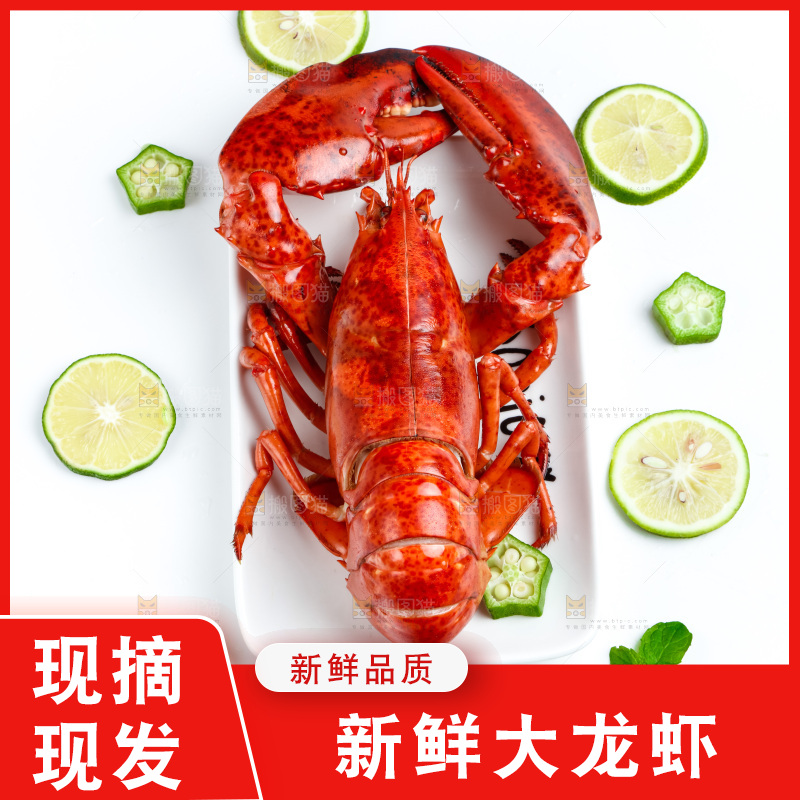 白底上放着一盘大龙虾