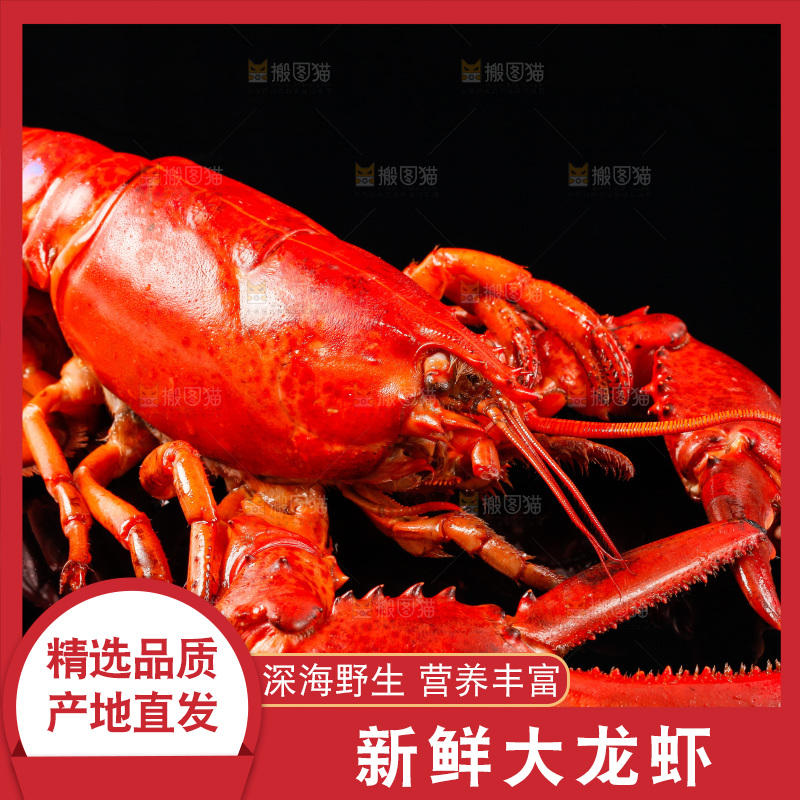 黑底上放着波士顿龙虾
