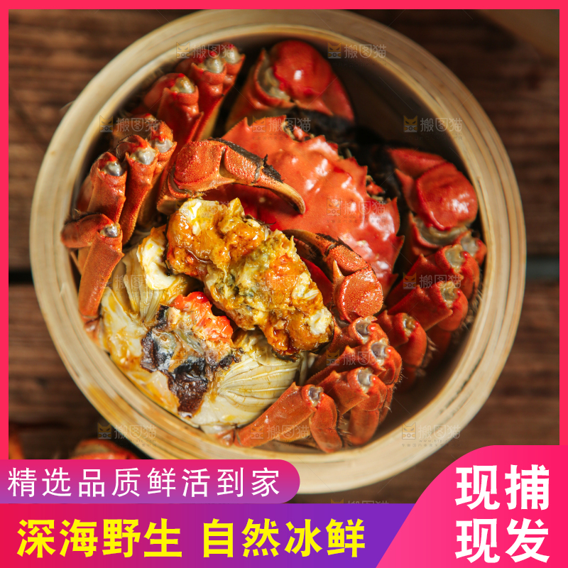 蒸笼里的熟螃蟹
