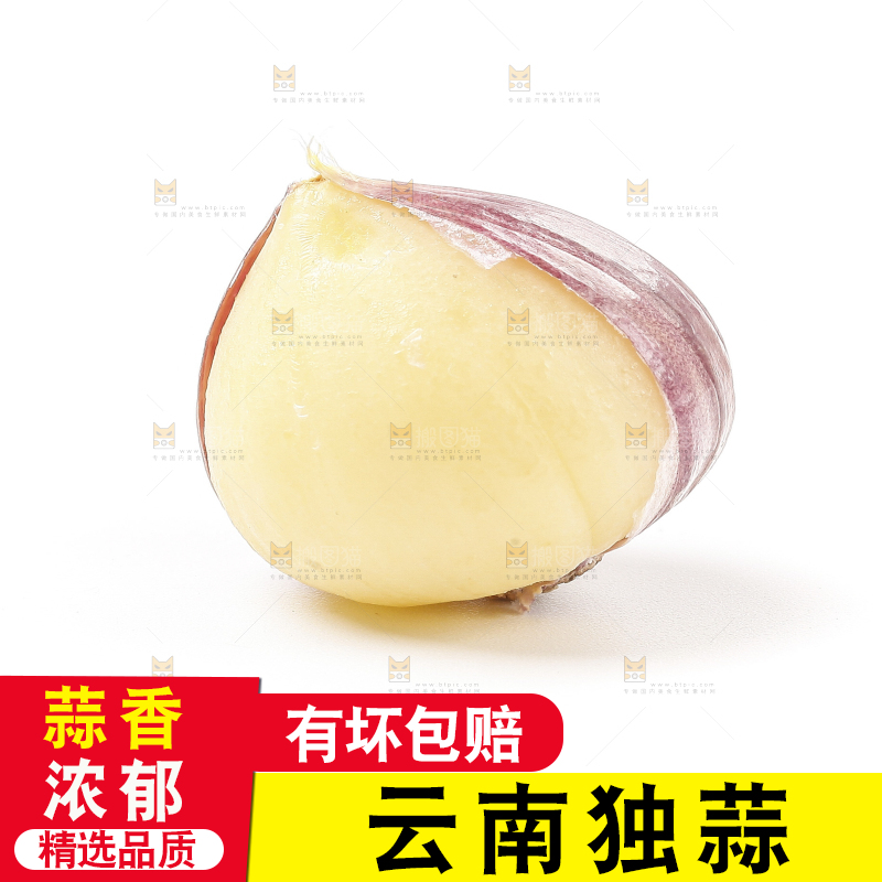 浅底上的独蒜