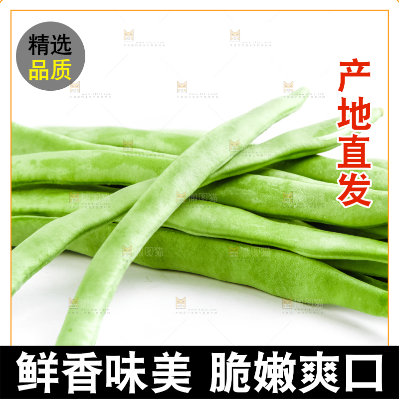 白底上放着新鲜四季豆