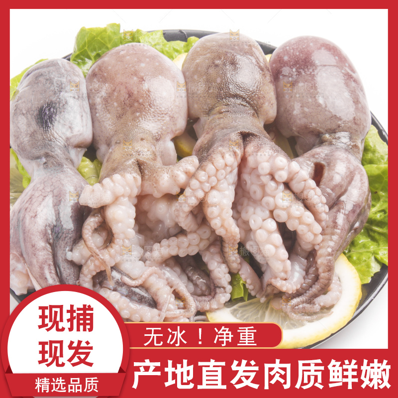 盘子里的大连章鱼