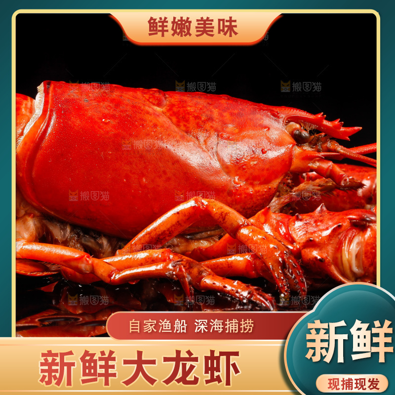 黑底上放着波士顿龙虾