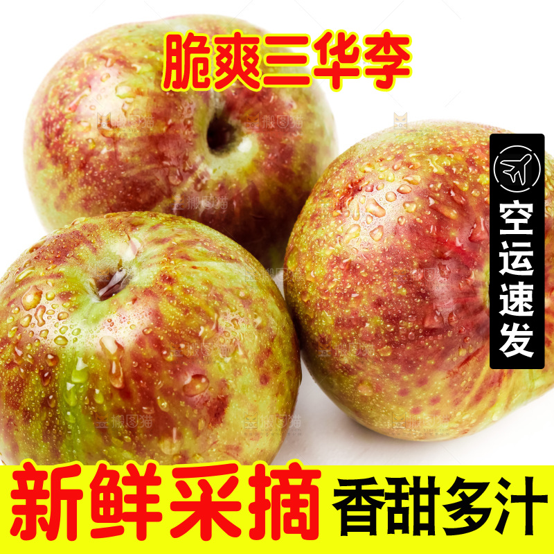 白底上的三华李