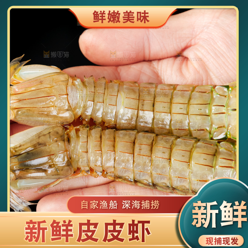 手里拿着生鲜皮皮虾