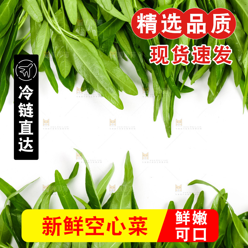 白底上放着新鲜空心菜