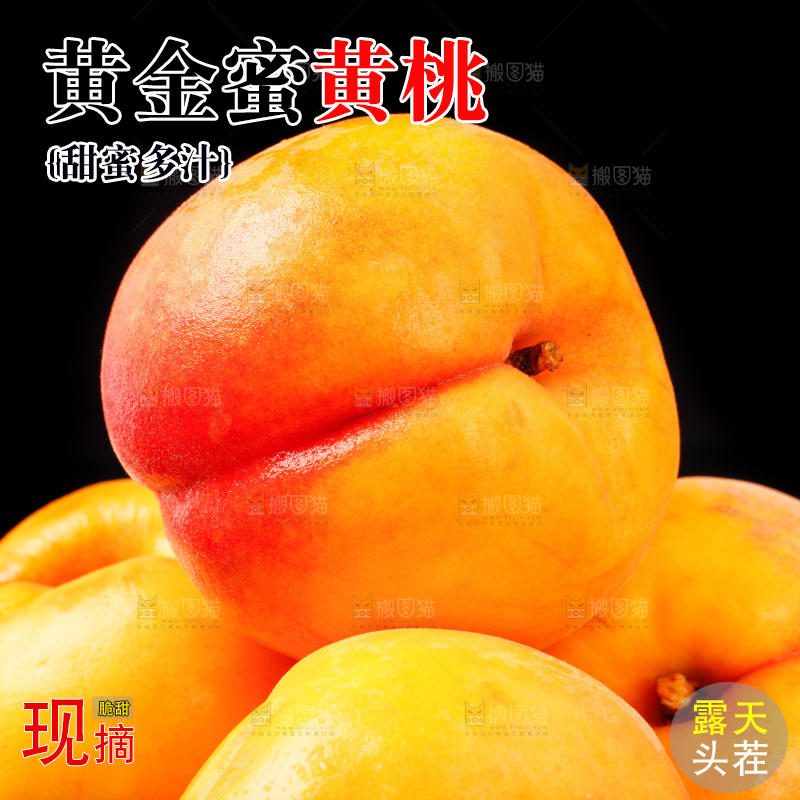黑底上放着山东黄桃