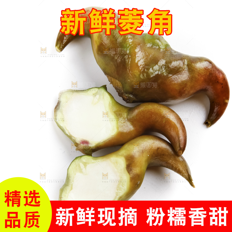 白底上放着洪湖菱角