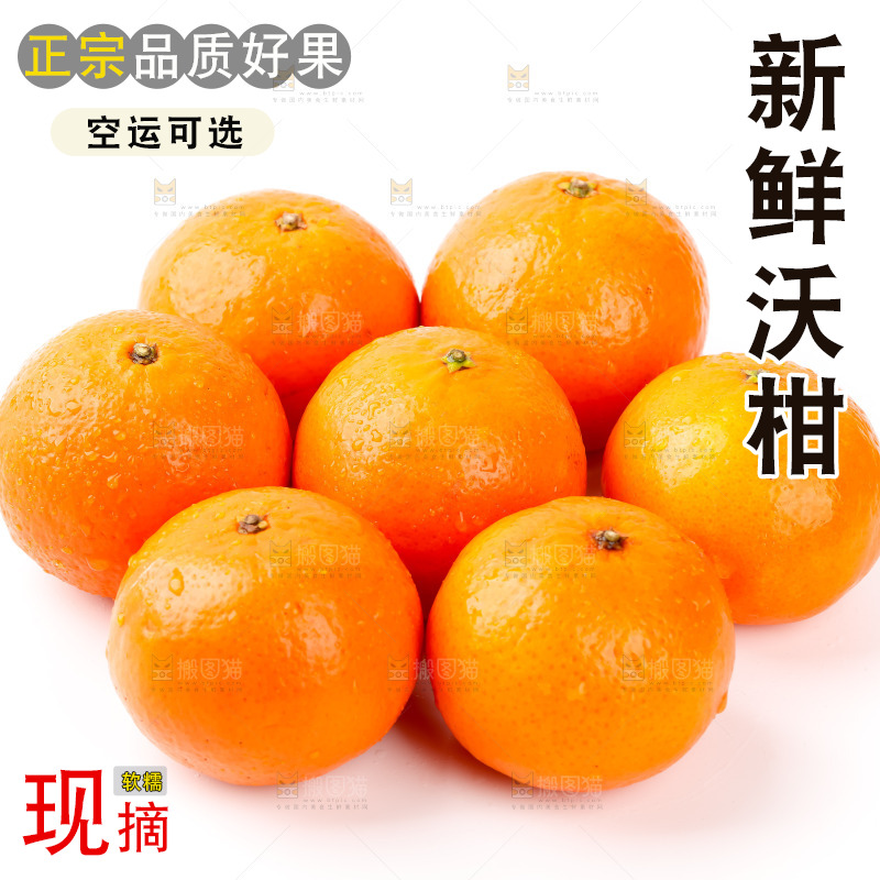 白底上放着广西沃柑