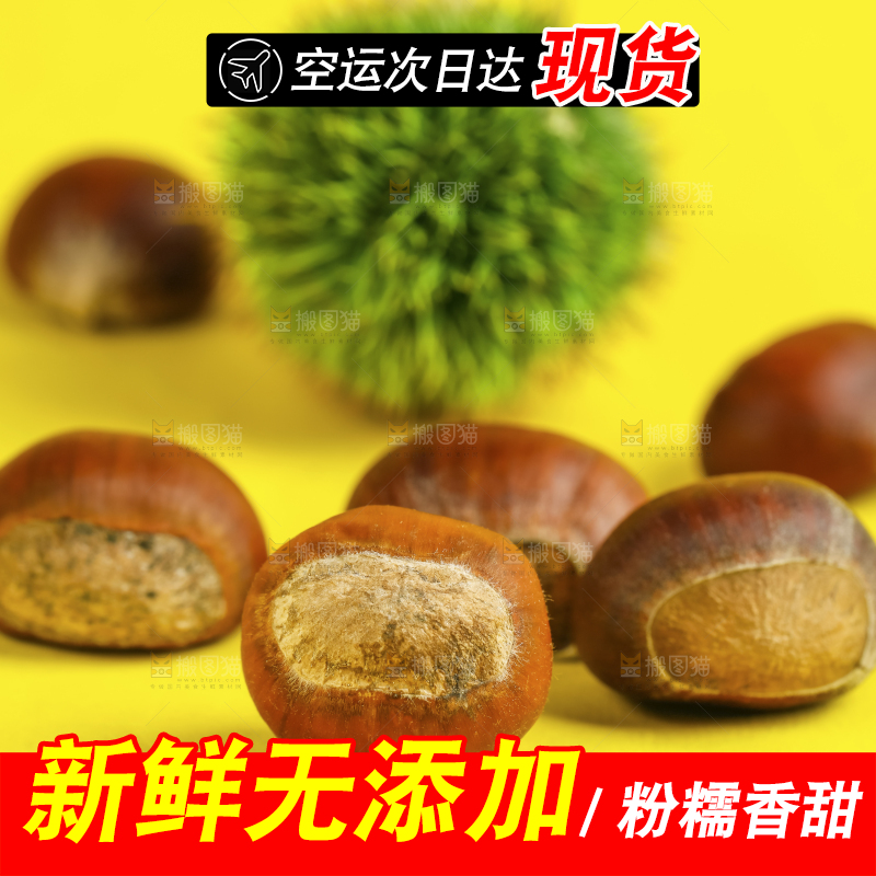 黄底上的迁西板栗