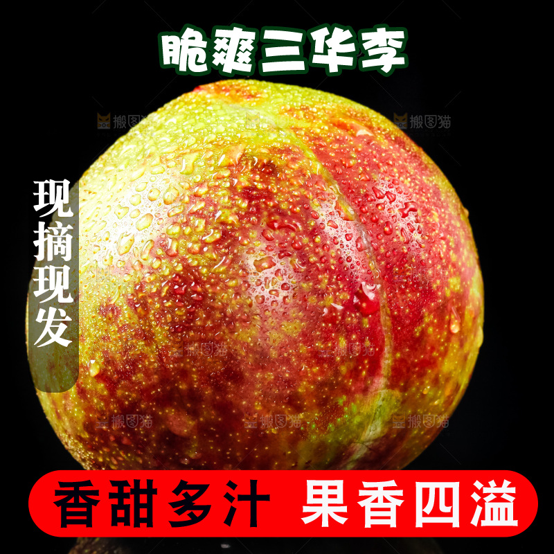 黑底上放着新鲜三华李