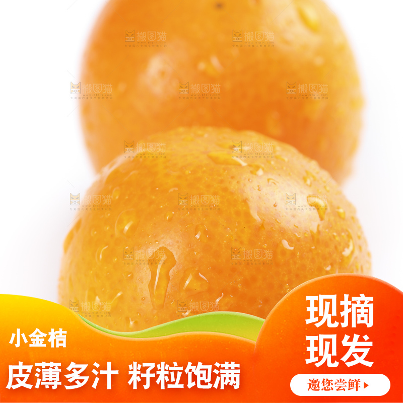 白底上摆放着新鲜金橘