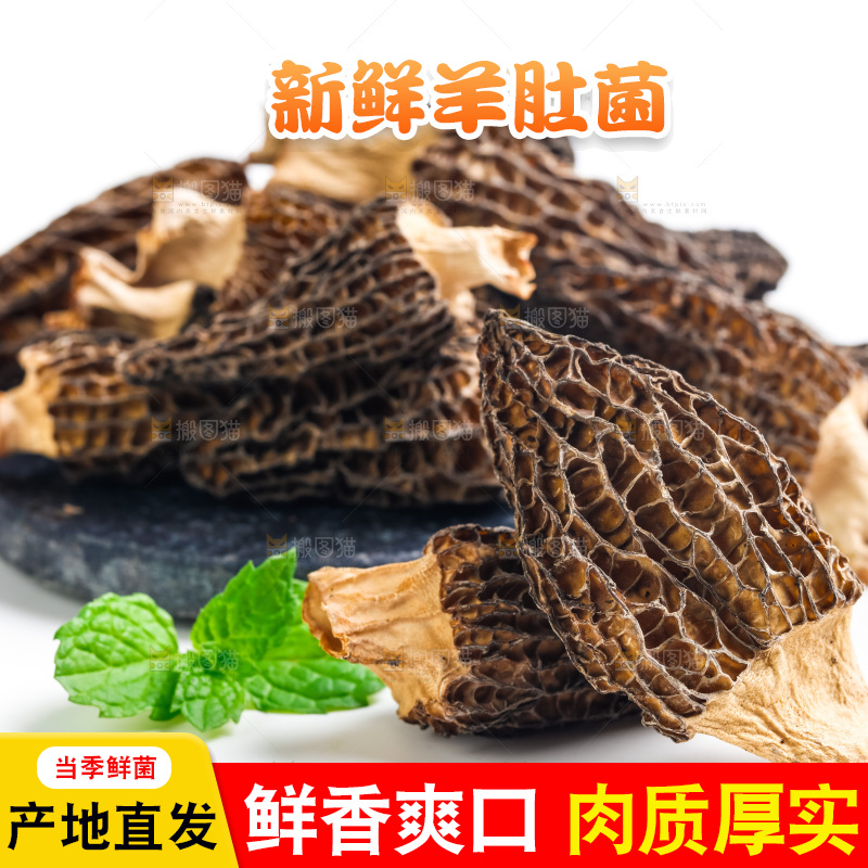 干羊肚菌放在浅底上