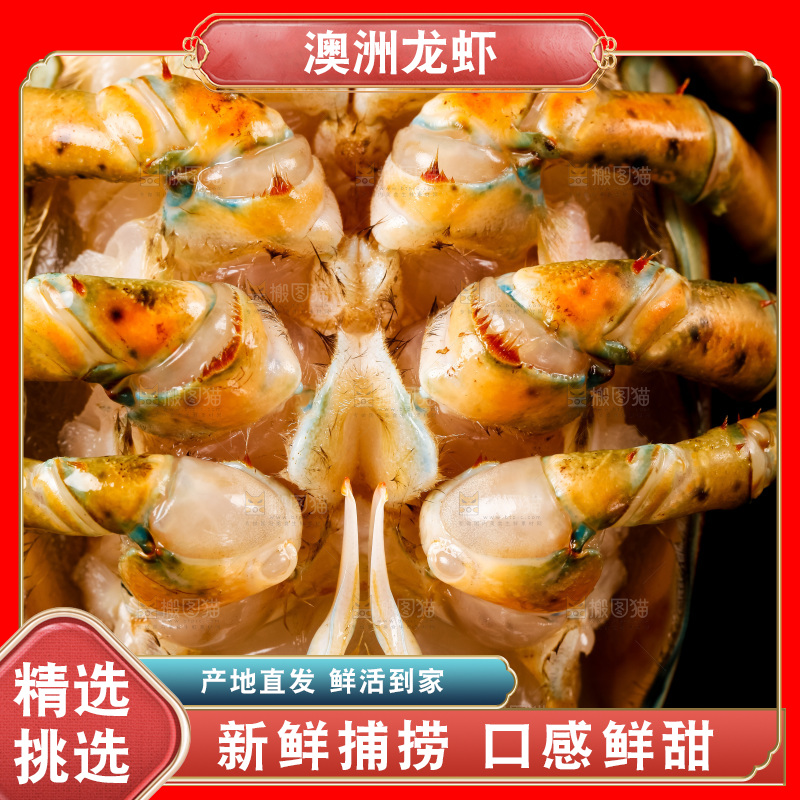 黑底上放着波士顿龙虾