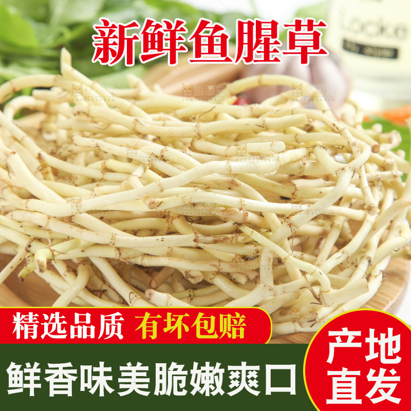 篮子里装着鱼腥草